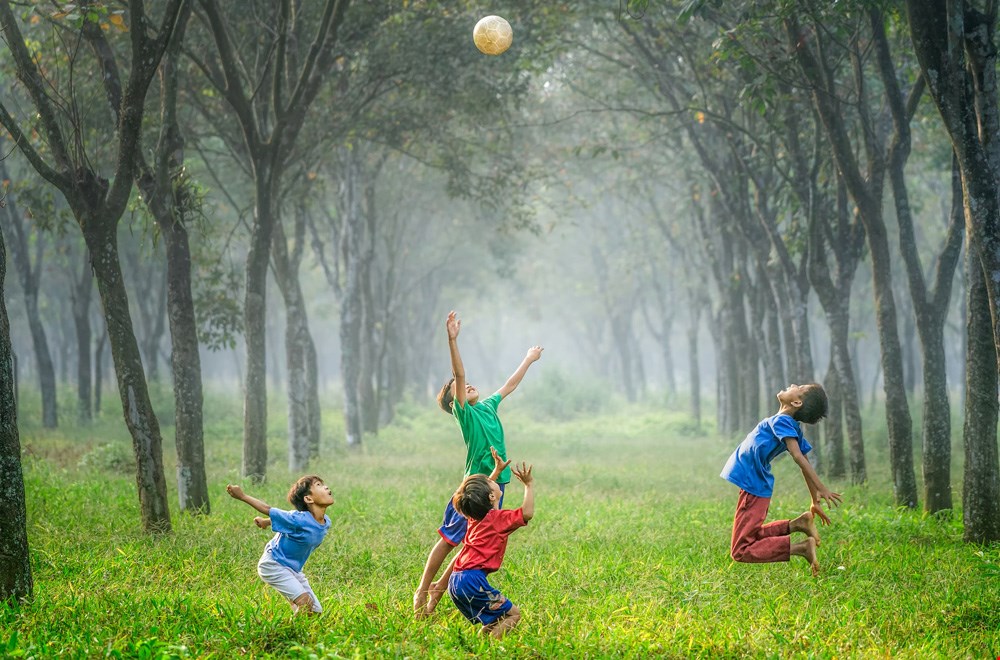 Wat moet je doen als je kind iets kapot heeft gemaakt bij een ander? Wat moet je doen als je kind iets kapot heeft gemaakt bij een ander?